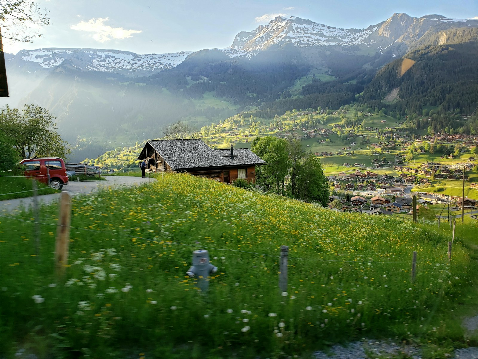 Wildflower meadow above Grindelwald village and the valley